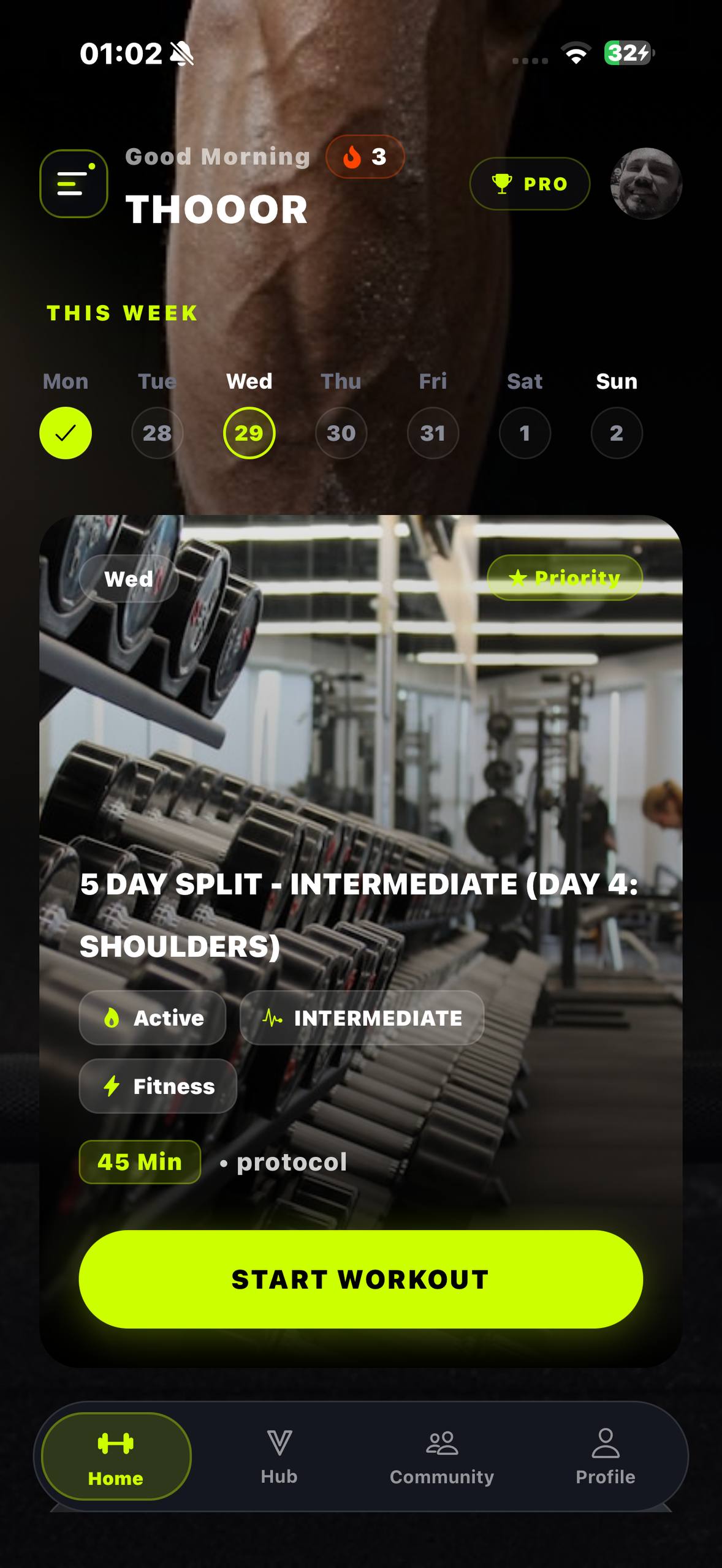 Professional Workout Splits